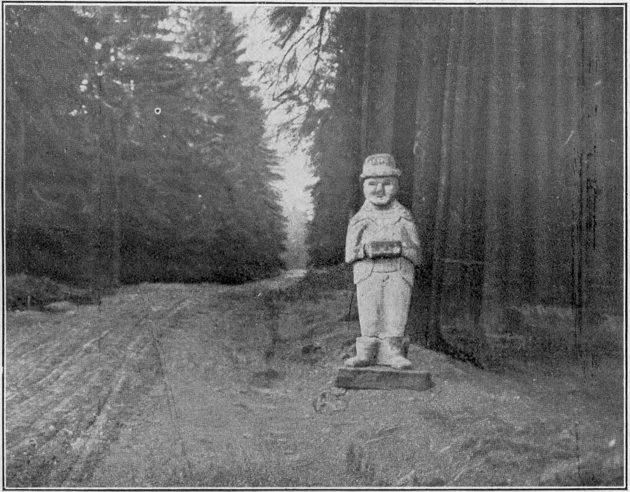 Der graue Mann von H&uuml;ttengut. phot. Reg.-Refdr. Mundt in Glatz.