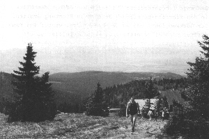 Schweizer - Grafschafter Talebene