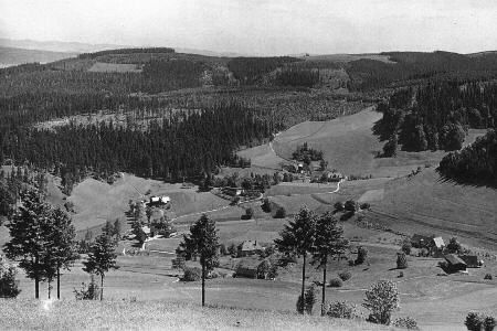 Blick ins Kohlauertal