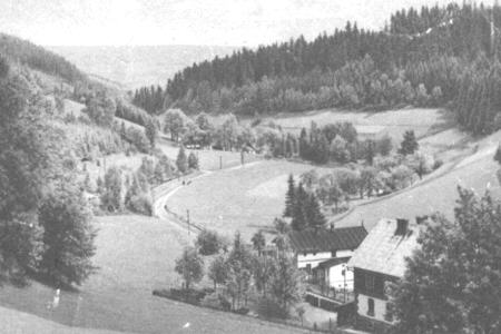 Partie im Kohlauertal