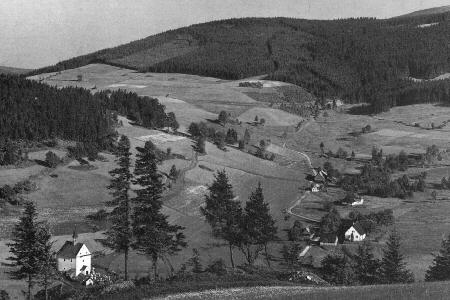 Ortsanischt