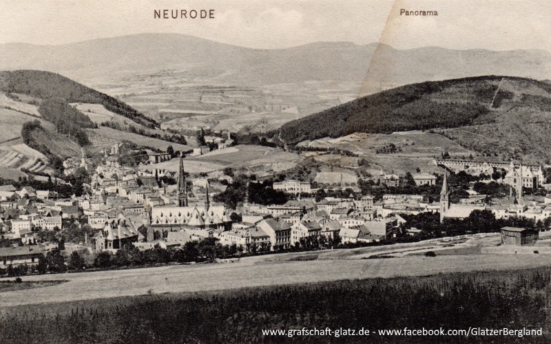 Neurode. Panorama