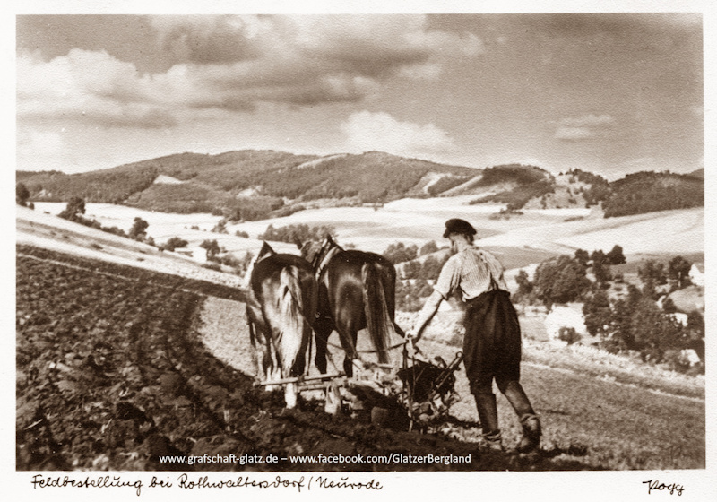 Feldbestellung bei Rothwaltersdorf