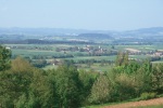 Bild anzeigen
