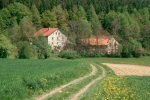 Bild anzeigen