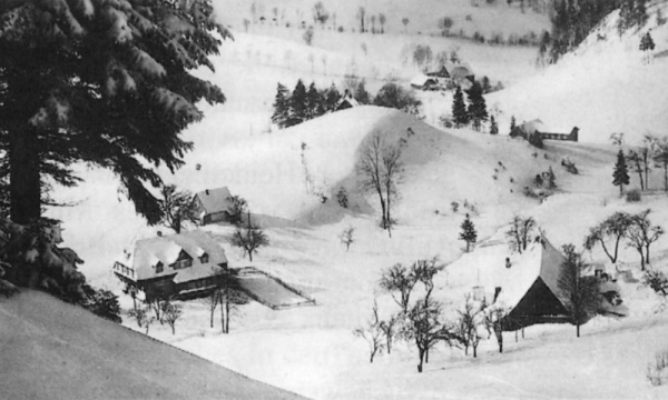 Grillenh&auml;usel im Winter